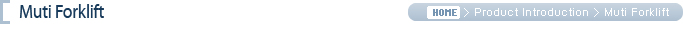 Muti Forklift